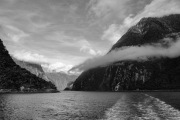 Heading out in to the Milford Sound - BW