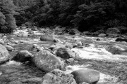 Hollyford River - BW