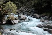 Hollyford River - Colour