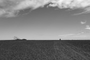 Silhouettes on Lake Ferry Beach